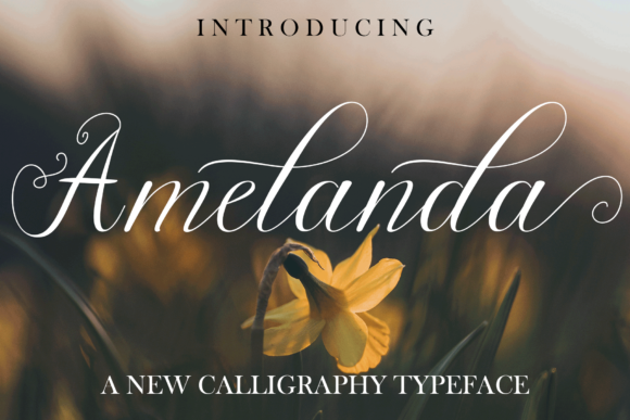 Amelanda: An Elegant Script Handwritten Font for Editorial Design