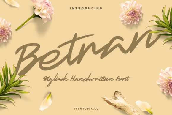 Betran: A Versatile Script Handwritten Font for Modern Web Design
