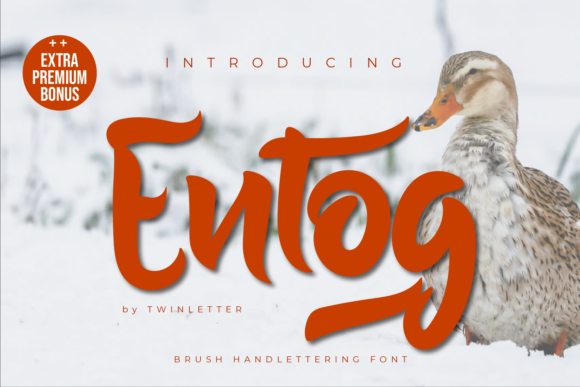 Entog: The Handwritten Typeface That Transforms Your Brand Identity
