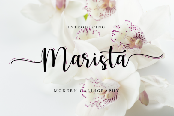 Marista: The Elegant Handwritten Font for Premium Branding