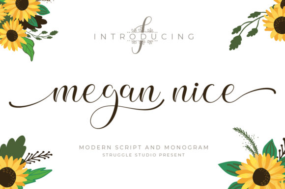 Megan Nice: The Timeless Handwritten Font for Creative Brands