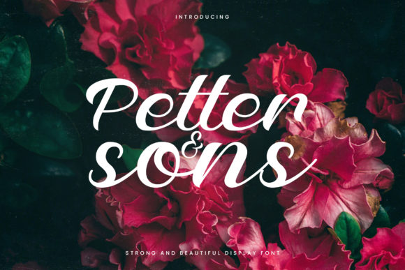 Petter and Sons: A Timeless Script Handwritten Font for Branding