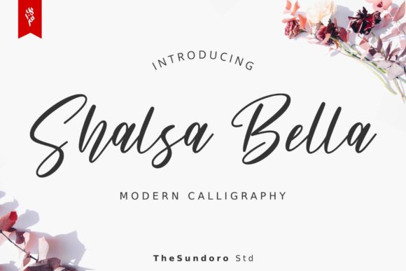 Shalsa Bella: A Modern Script Font for Elegant Web Design